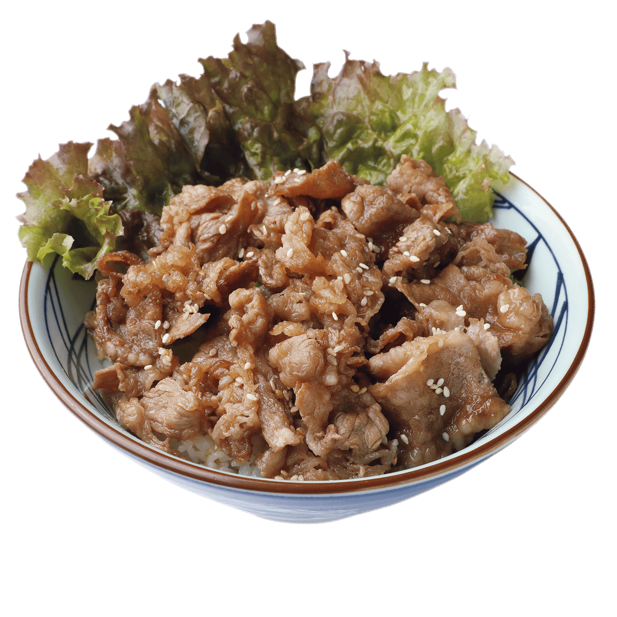 Beef Yakiniku Don