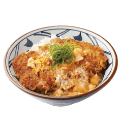 Katsudon